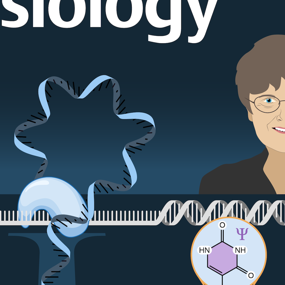 Front Page Design für die wissenschaftliche Zeitschrift Journal of Physiology